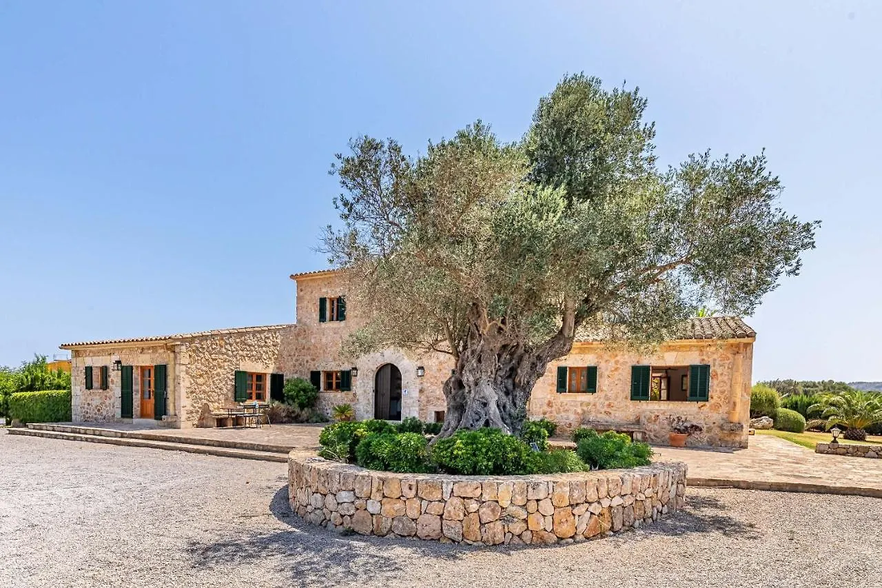 Villa Can Paroya By Sealand Villas Alcudia  0*, Alcudia (Mallorca) Spanien